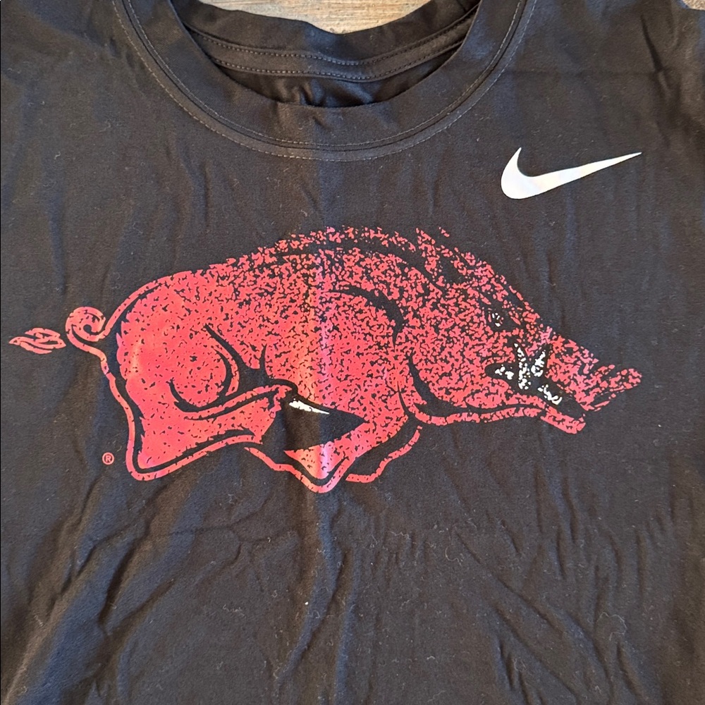 Nike Dri-Fit Arkansas Razorbacks T-Shirt - Picture 3 of 4